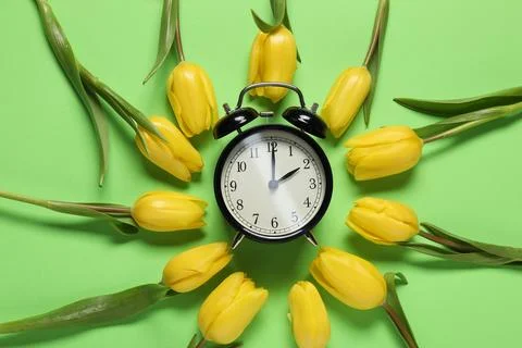 Spring time. Alarm clock and beautiful tulips on green background, flat lay Stock Photos