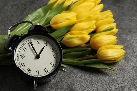 Spring time. Alarm clock and beautiful tulips on grey table, closeup Stock Photos