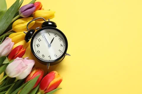Spring time. Alarm clock and beautiful tulips on yellow background, flat la.. Foto stock