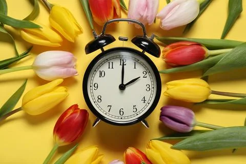 Spring time. Alarm clock and beautiful tulips on yellow background, flat lay Foto stock
