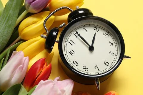 Spring time. Alarm clock and beautiful tulips on yellow background, above vie Stock Photos