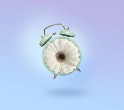 Spring time. Alarm clock with flower instead of dial on light blue gradient.. Stock Photos