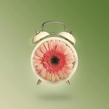 Spring time. Alarm clock with flower instead of dial on green gradient back.. Stock Photos