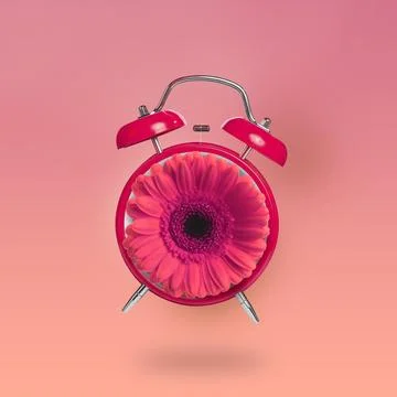Spring time. Alarm clock with flower instead of dial on coral gradient back.. Stock Photos