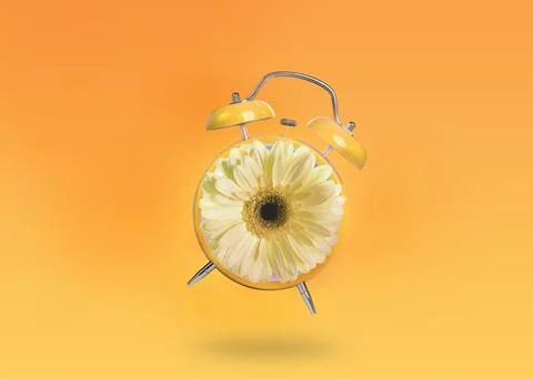 Spring time. Alarm clock with flower instead of dial on orange gradient bac.. Stock Photos