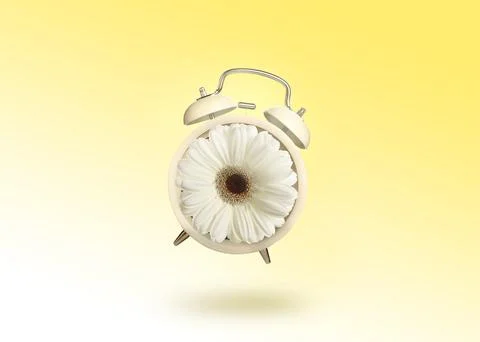 Spring time. Alarm clock with flower instead of dial on yellow gradient bac.. Stock Photos
