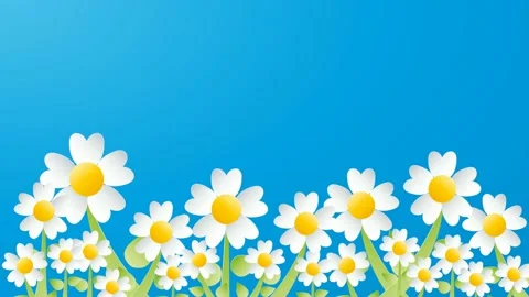 Spring time and blooming. Abstract floral background with abstract flowers. A Stock Footage 168102788