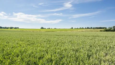 Spring time around Waldenburg Stock Photos