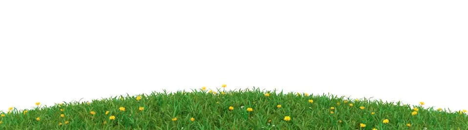 Spring time background with grass on white Stock Illustration