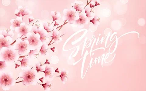 Spring time beautiful background with spring blooming cherry blossoms. Sakura Stock Illustration