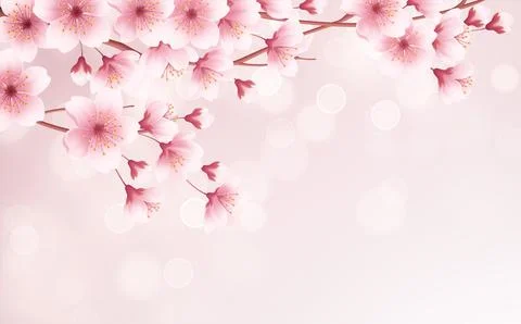 Spring time beautiful background with spring blooming cherry blossoms. Sakura Stock Illustration