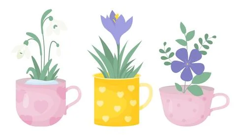 Spring time. Collection spring flowers in cups. Bouquet of white snowdrop, .. Stock Illustration