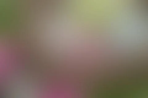 Spring time colors in defocused blur motion abstract background Stock Illustration
