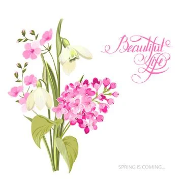 Spring time concept of card with blooming flowers isolated over white background Ilustração Stock