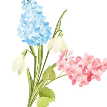 Spring time concept of card with blooming flowers isolated over white background Ilustração Stock