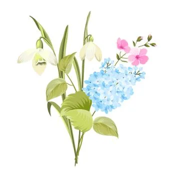 Spring time concept of card with blooming flowers isolated over white background Ilustração Stock