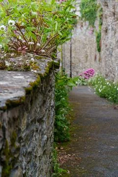 Spring time in Cornwall, England Foto stock