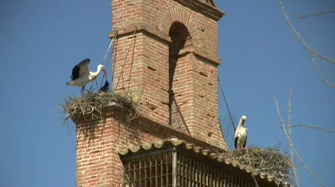 Spring time Stock Footage 363255