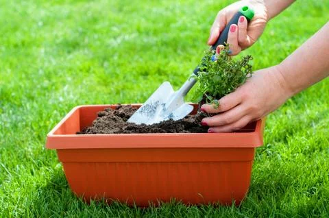 Spring time - gardening Stock Photos