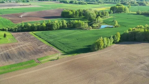 Spring time green landscape with groves and fields, aerial Stock Footage 292660221