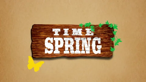 Spring Time with green leaves and butterfly on wood Video stock 229850361