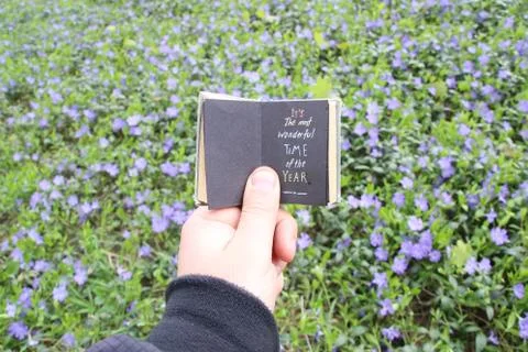 Spring time idea. Book with text and spring field with blue flowers Stock Photos