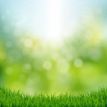 Spring Time Stock Illustration