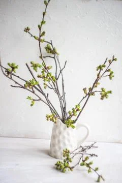 Spring time inderior Фото