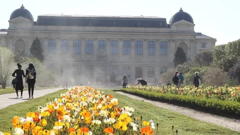 Spring time in The Jardin de Plantes - main botanical garden in France Stock Footage 153759941