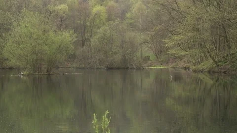 Spring time at a lake in germany (slide) Stock Footage 263876866