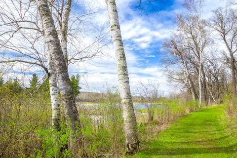 Spring Time at the Lake Fotos de archivo