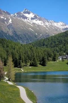 Spring time at the lake of Saint Moritz in Switzerland 27.5.2020 Stock Photos