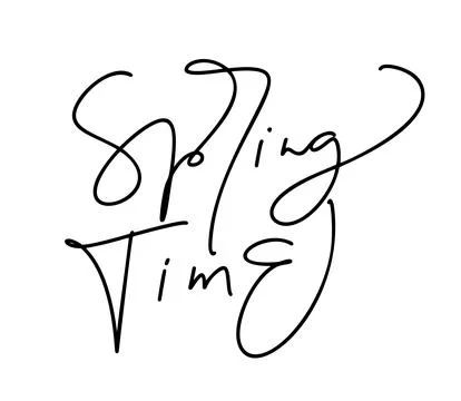 Spring time lettering lettering vector text. Modern style brush calligraphy Stock Illustration