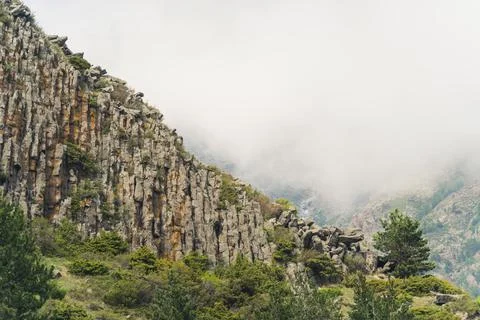 Spring time. Mountains covered in trees in the cloud and fog. Stock Photos
