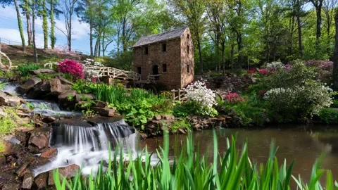 Spring time at the Old Mill Vídeo Stock 221788619