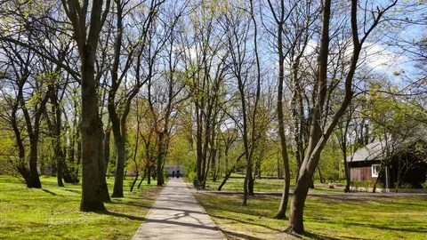 Spring time at the park. Flycam shot in beautiful, green park. 動画素材 74392988