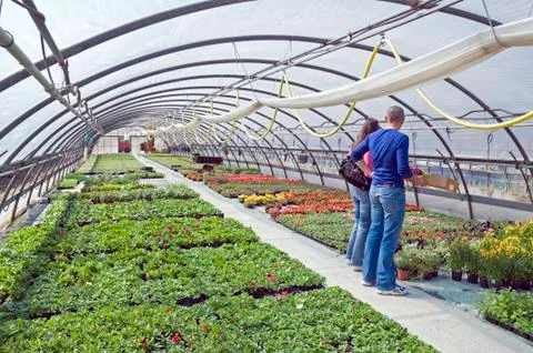 Spring time Stock Photos