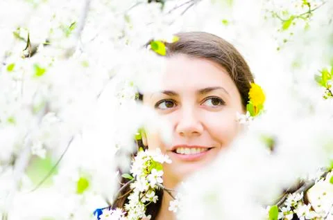 Spring time Stock Photos