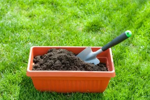 Spring time Stock Photos