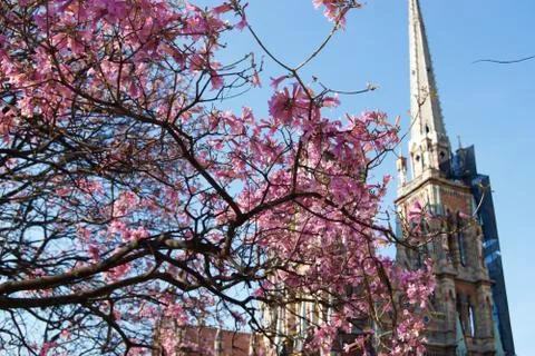 Spring time Stock Photos