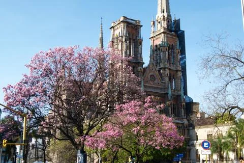 Spring time Stock Photos