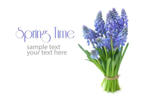 Spring Time Stock Photos