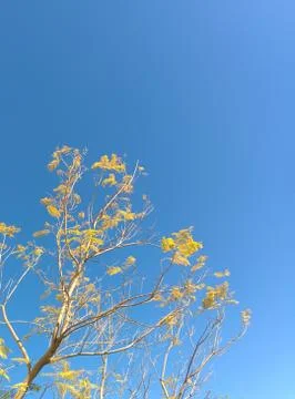 Spring Time Stock Photos