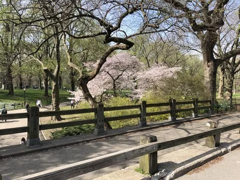 Spring Time Stockfoto's