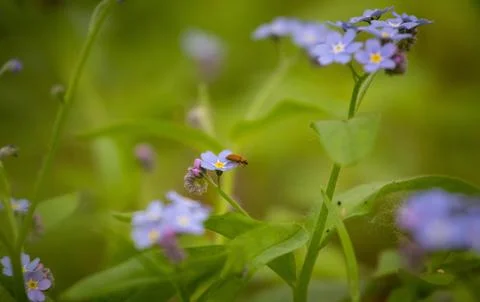 Spring time! Fotos Stock