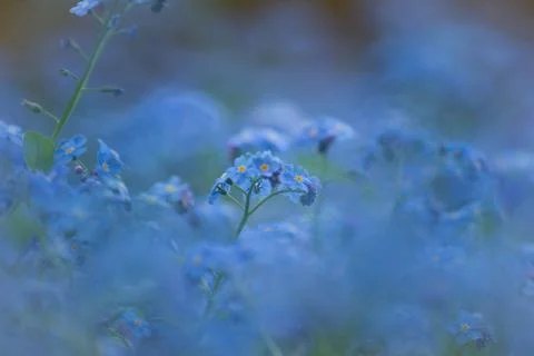 Spring time! Fotos Stock