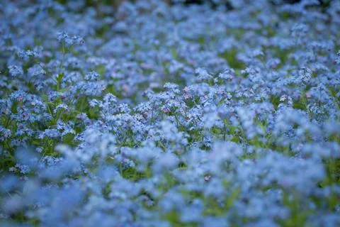 Spring time! Photos