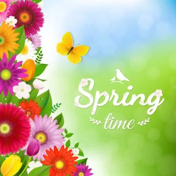 Spring Time Postcard With Butterfly Stock Illustration