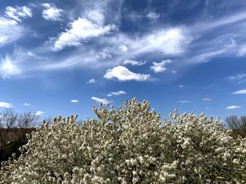 Spring Time Sky Foto stock