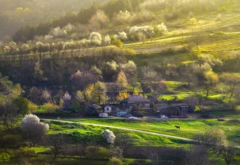 Spring time in the village Stock Photos
